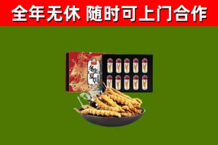 丽水市回收冬虫夏草价格